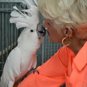 Meet your Posher, Lou